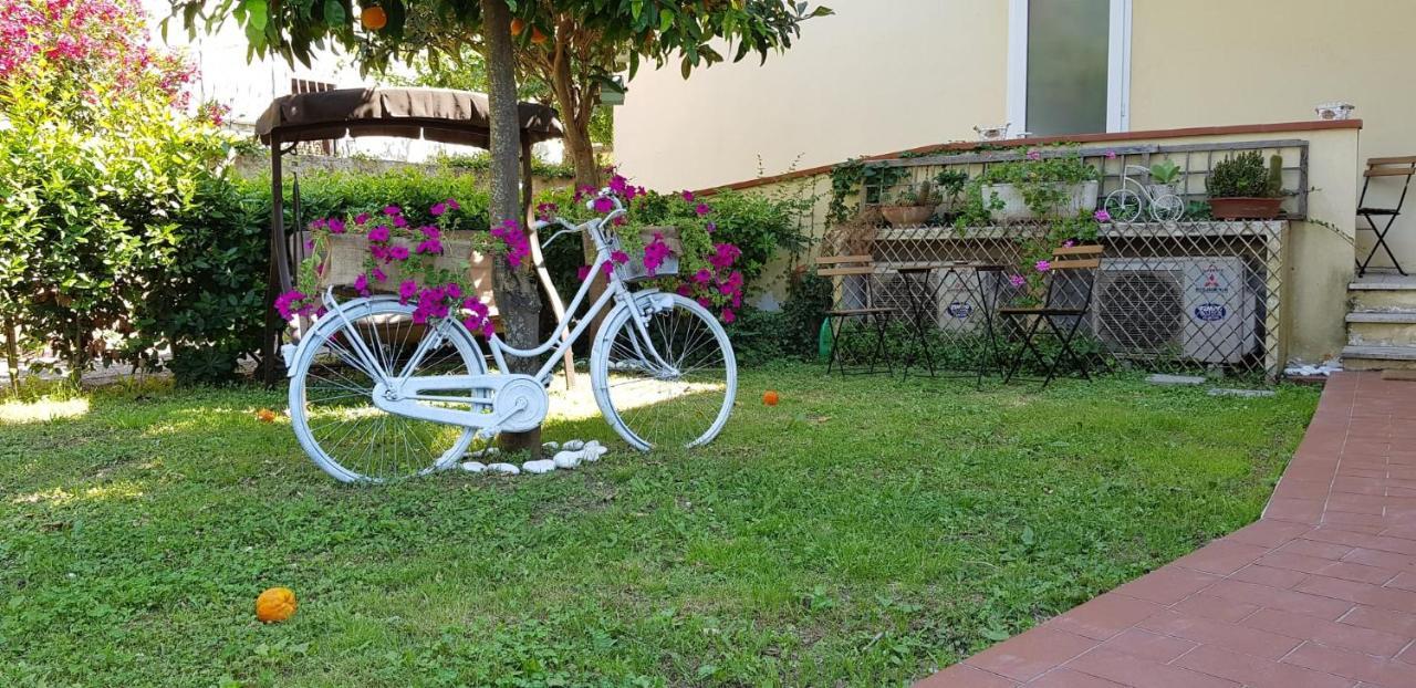 Villa Noemi Bed&Breakfast Пиза Екстериор снимка